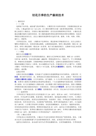 切花月季的生产栽培技术