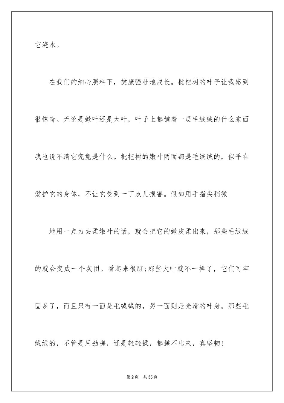 2024写树的作文_2_第2页