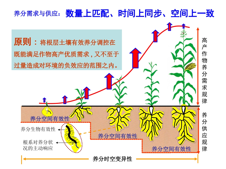 几种主要作物的施肥方法_第2页