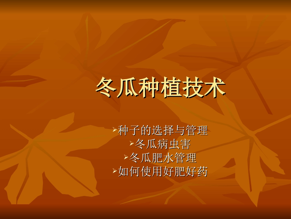 冬瓜种植技术_第1页