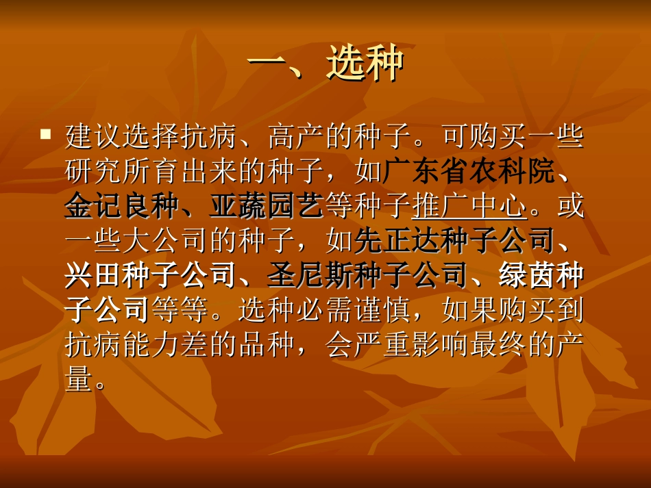 冬瓜种植技术_第2页