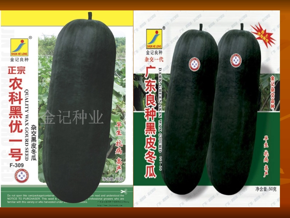 冬瓜种植技术_第3页