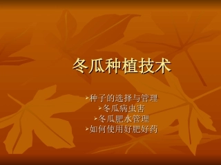冬瓜种植技术