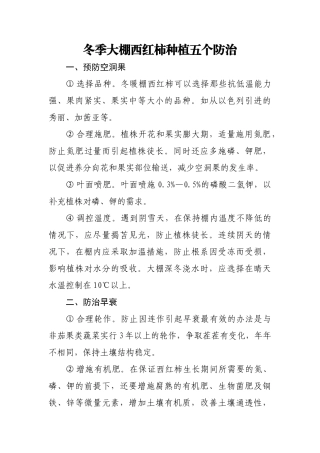 冬季大棚西红柿种植五个防治
