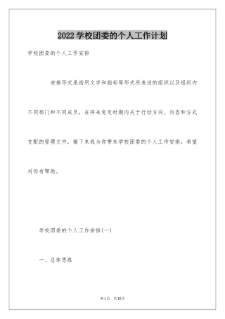 2024学校团委的个人工作计划