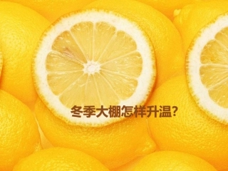 冬季大棚怎样升温 北方