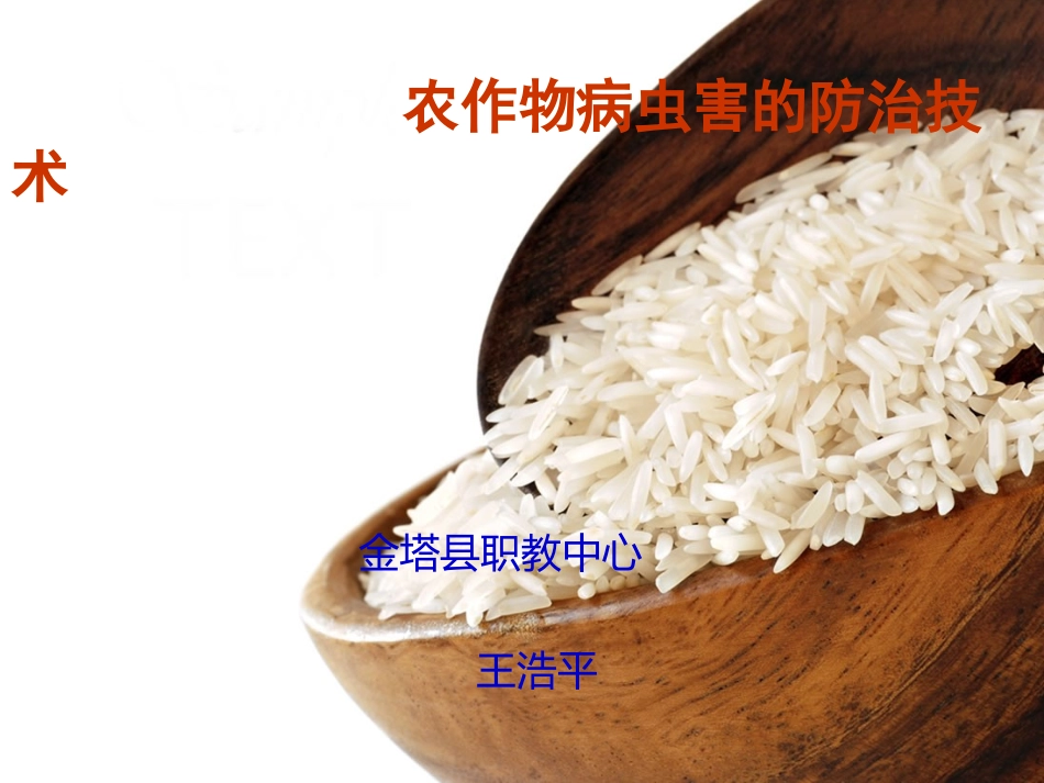 农作物病虫害的防治技术(王浩平)_第1页