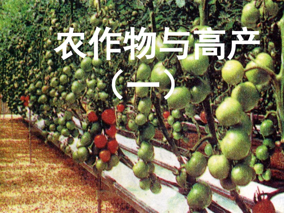 农作物与高产专题复习(1)_第2页