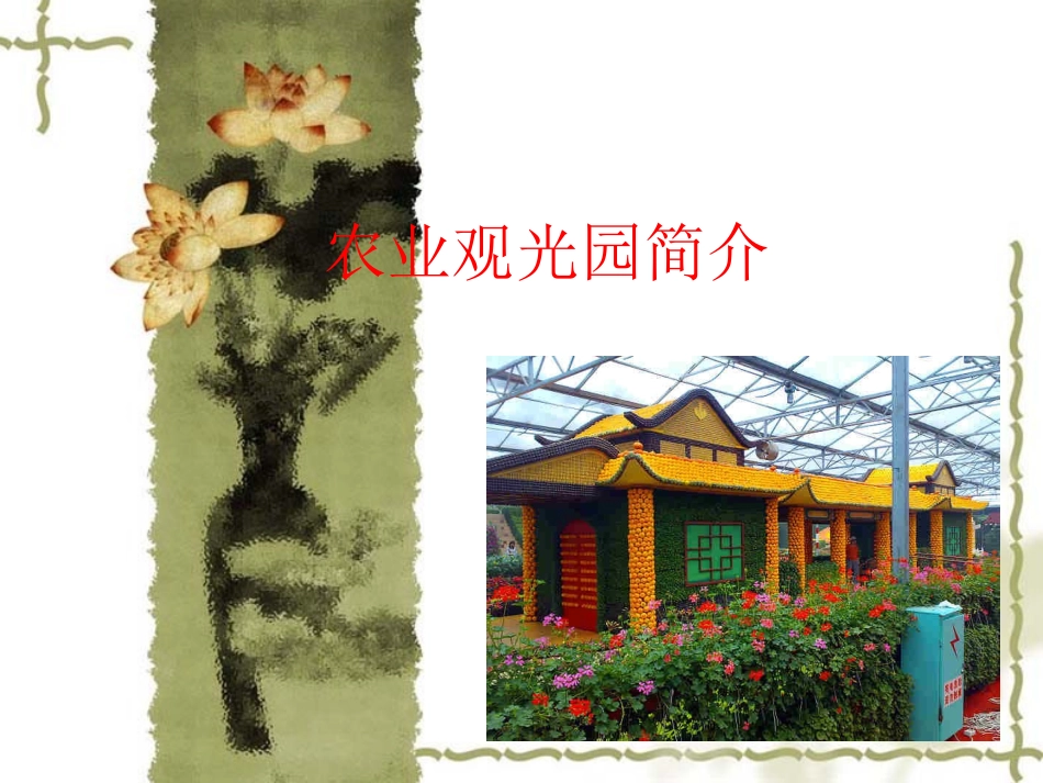 农业观光园简介_第1页