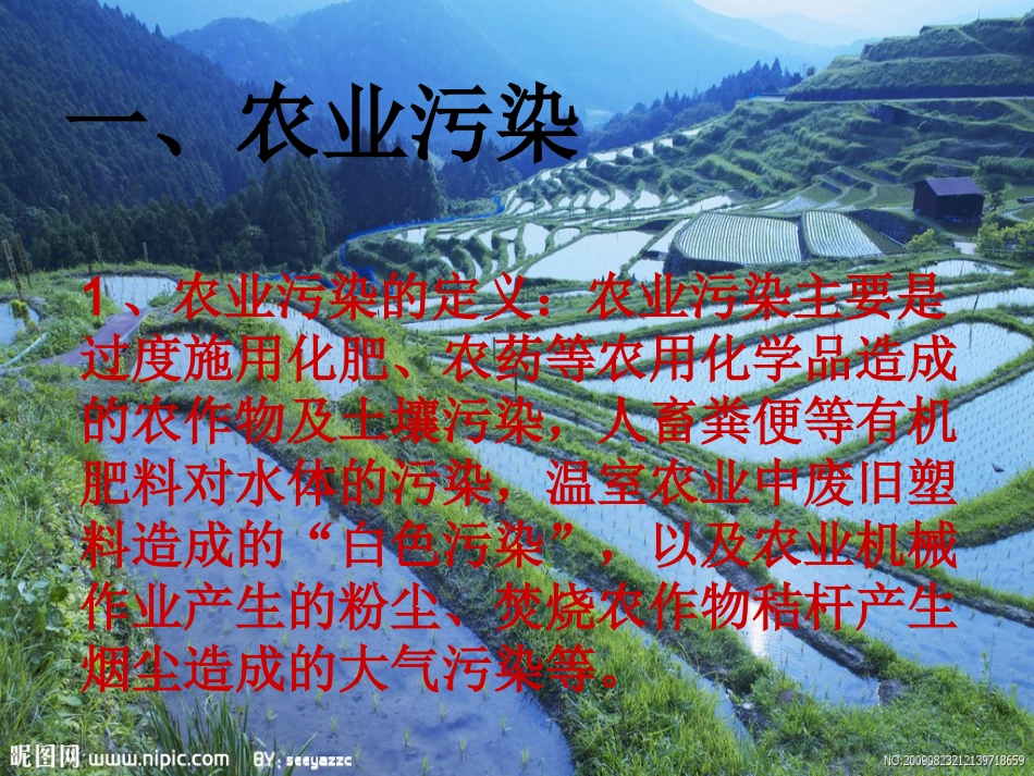 农业环境污染PPT_第2页