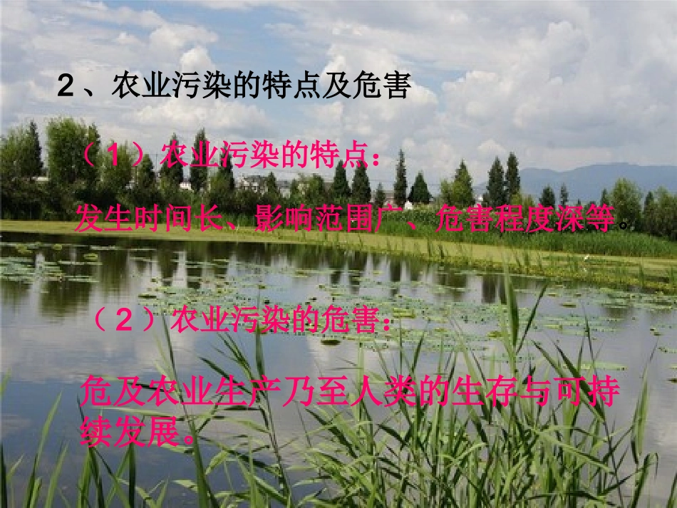 农业环境污染PPT_第3页