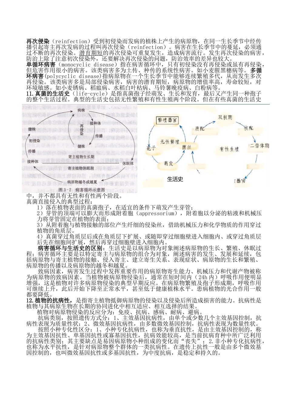 农业有害生物治理 病害部分重点_第2页