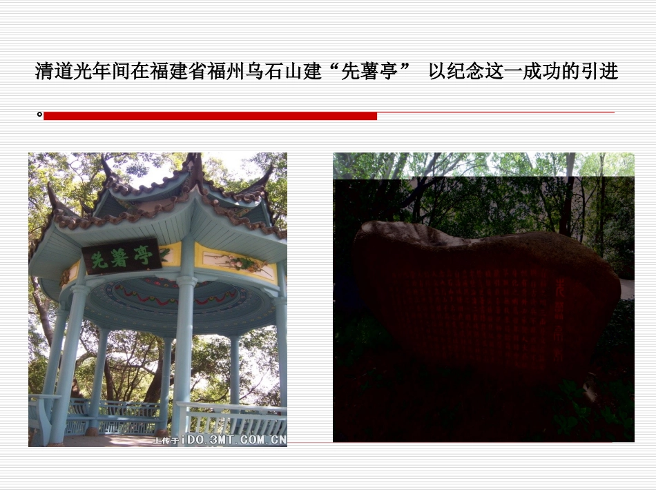 农业推广世家-陈振龙_第3页