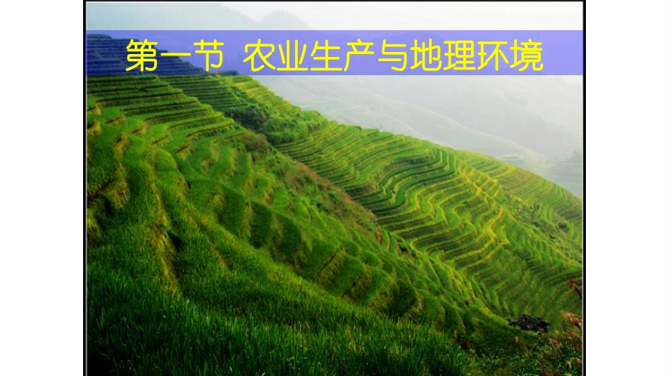 农业区位因素及水稻种植业_第1页