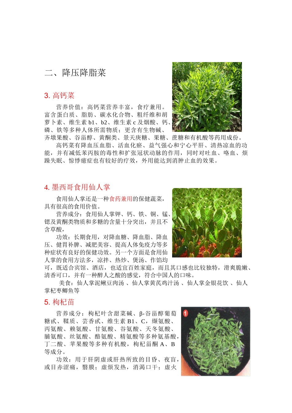 养生蔬菜品种汇总_第2页