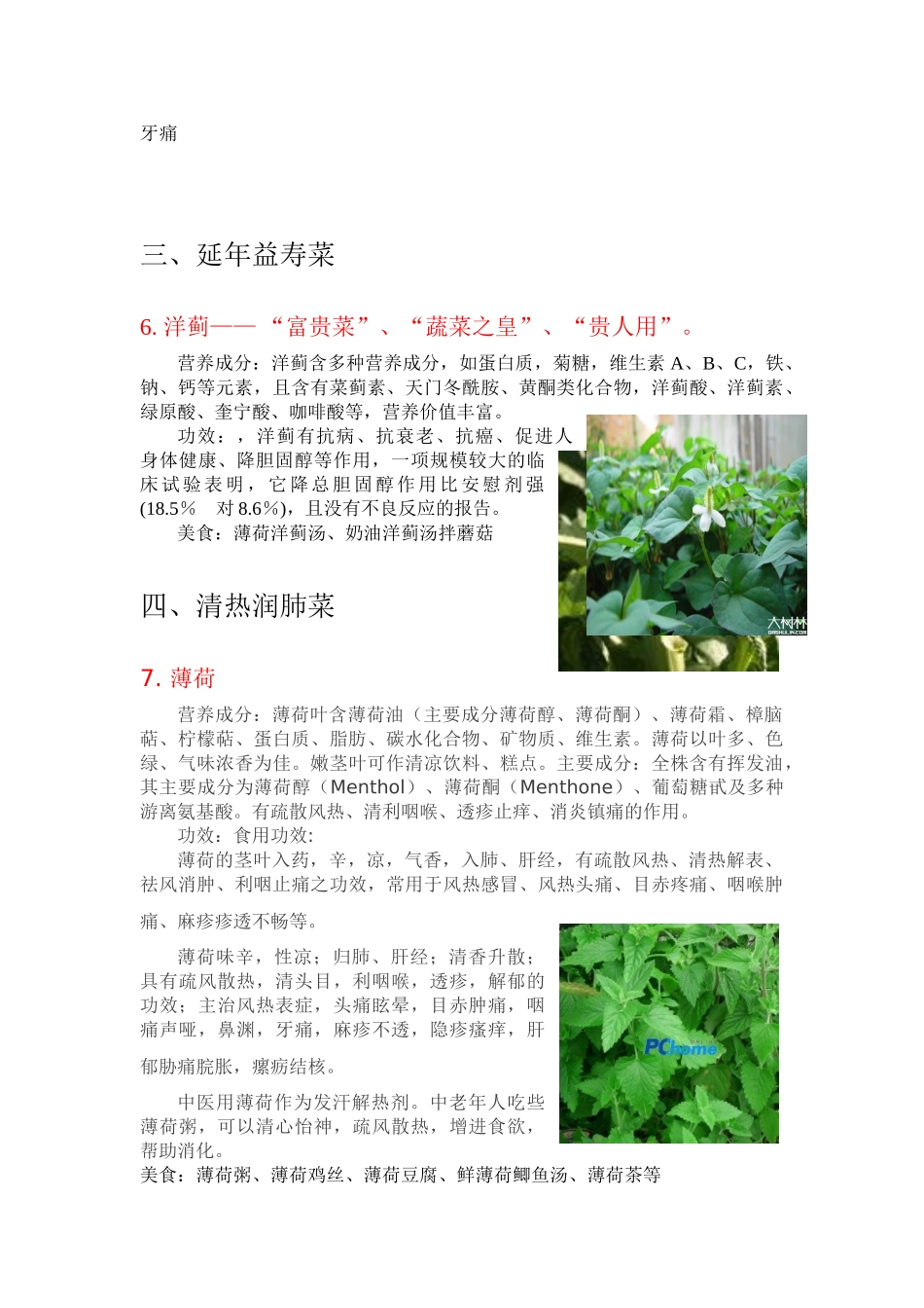 养生蔬菜品种汇总_第3页