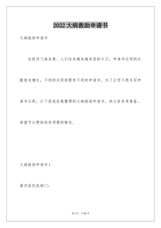 2024大病救助申请书_78