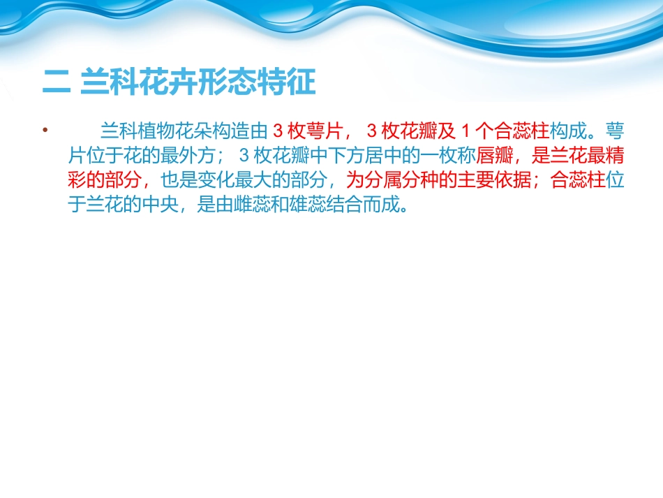 兰科花卉基础知识_第2页