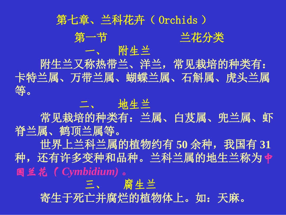 兰花多媒体教学_第1页