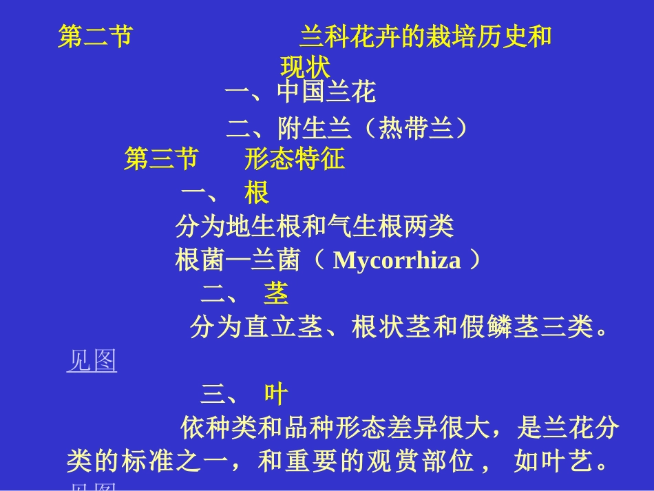 兰花多媒体教学_第2页