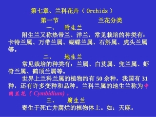 兰花多媒体教学