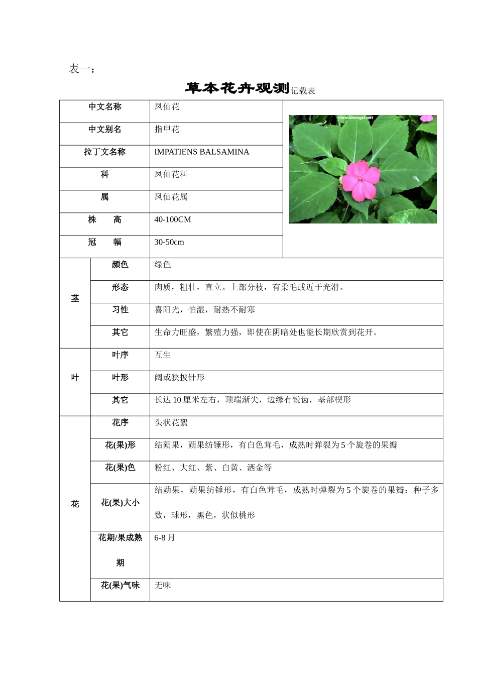 公选课《观赏植物》--作业_第3页