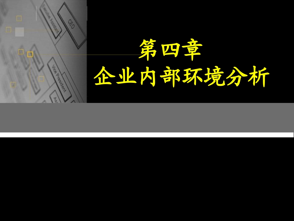 公司战略内部分析_第1页