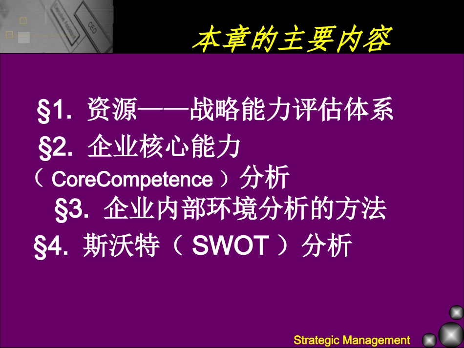 公司战略内部分析_第3页