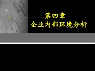 公司战略内部分析