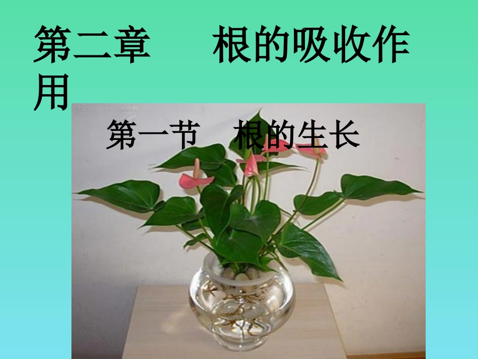 八年级生物 3.2.1根的生长_第1页