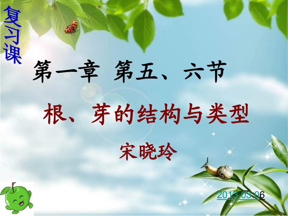 八上根、芽的类型与结构 复习课_第1页