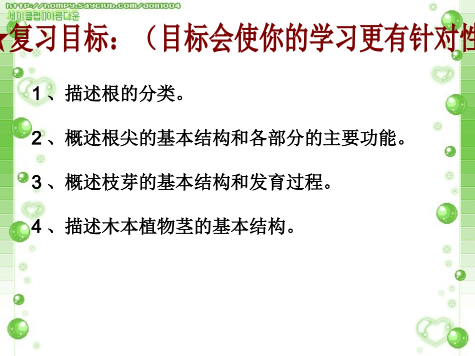 八上根、芽的类型与结构 复习课_第3页