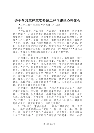 关于学习三严三实专题二严以律己心得体会