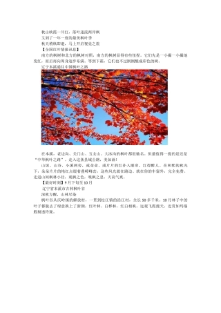 全国各地最美的10个枫叶观赏地