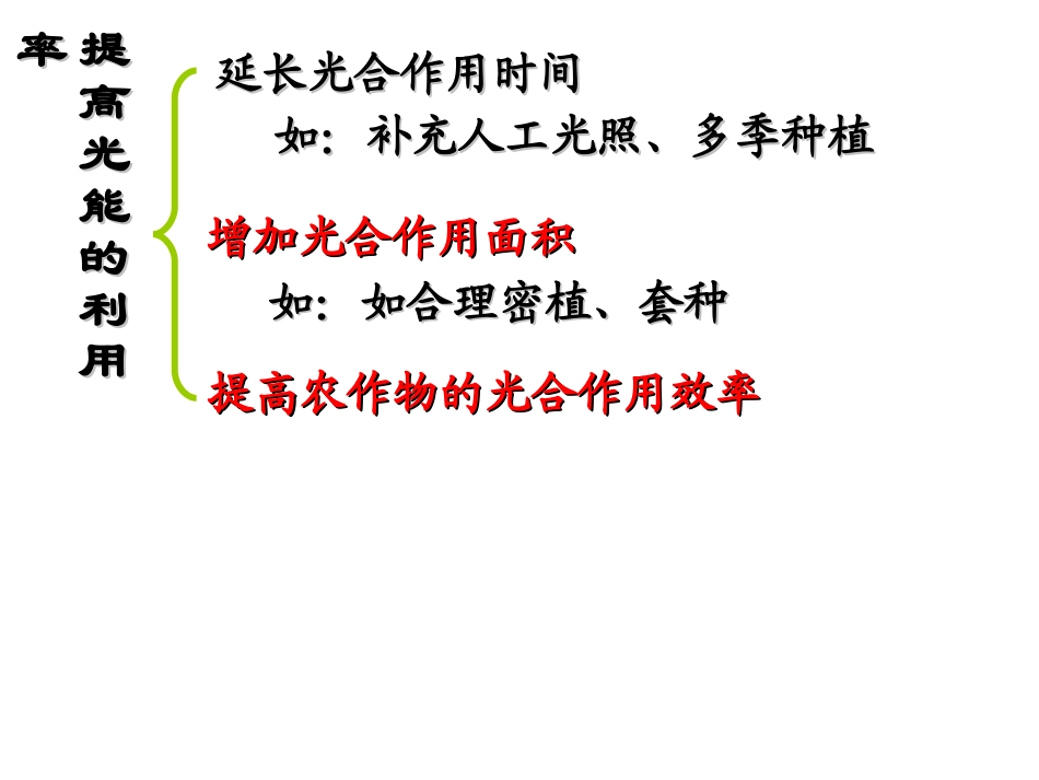 光能利用率与光合作用效率_第2页