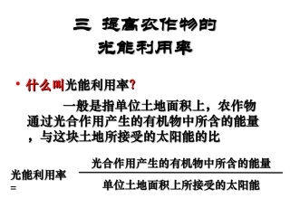 光能利用率与光合作用效率