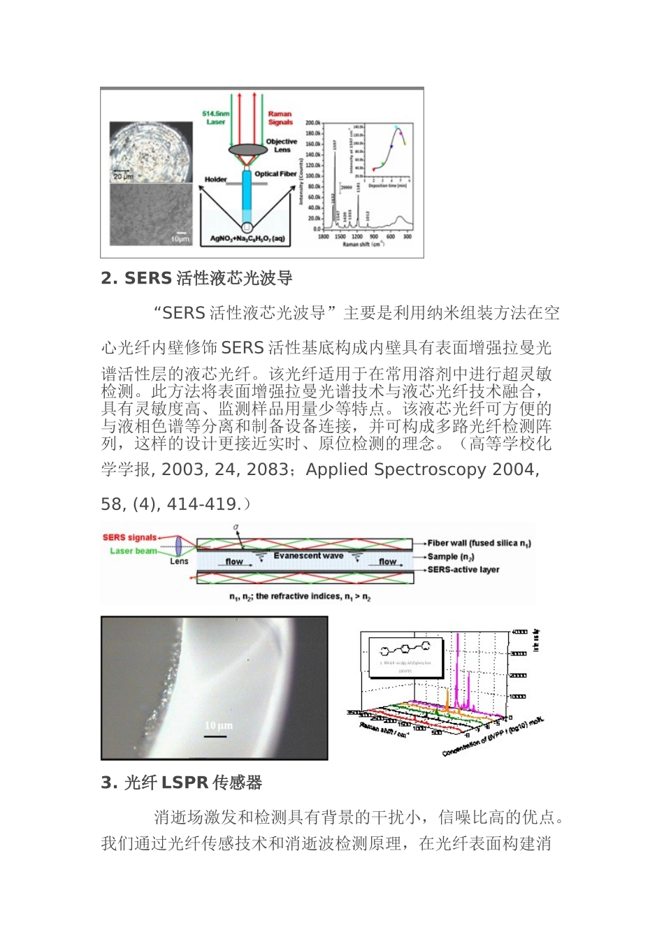 光纤光谱传感器_第2页