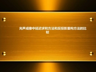光声成像中延迟求和方法和反投影重构方法的比较ppt