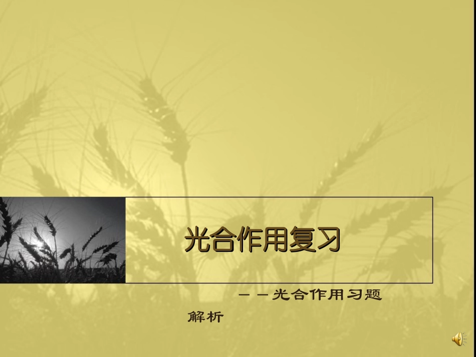 光和作用练习_第1页