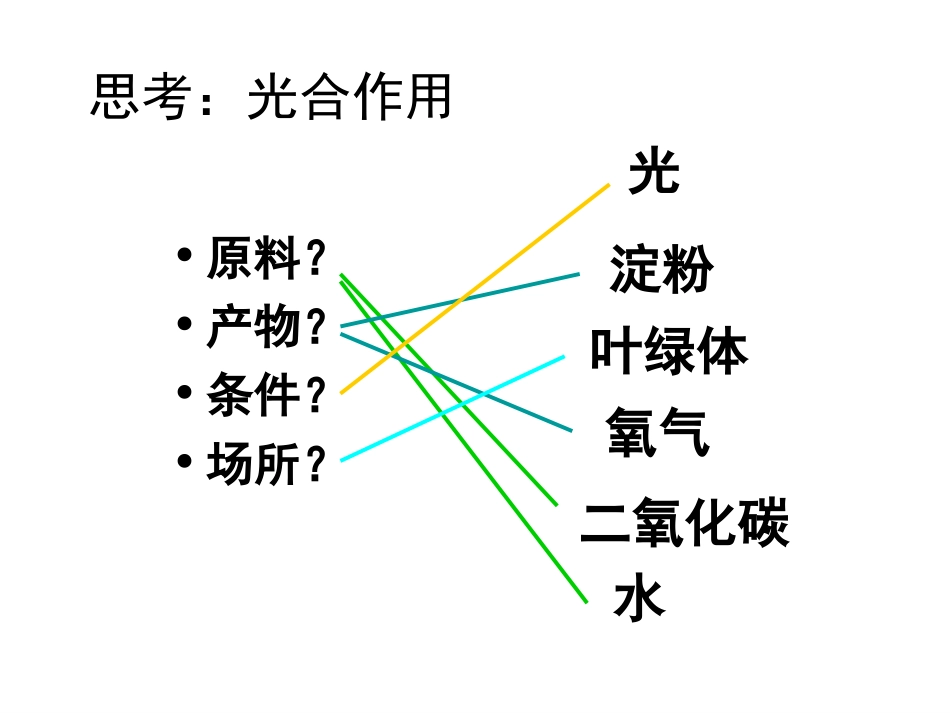 光合作用的意义_第1页
