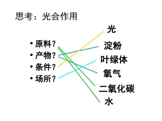 光合作用的意义