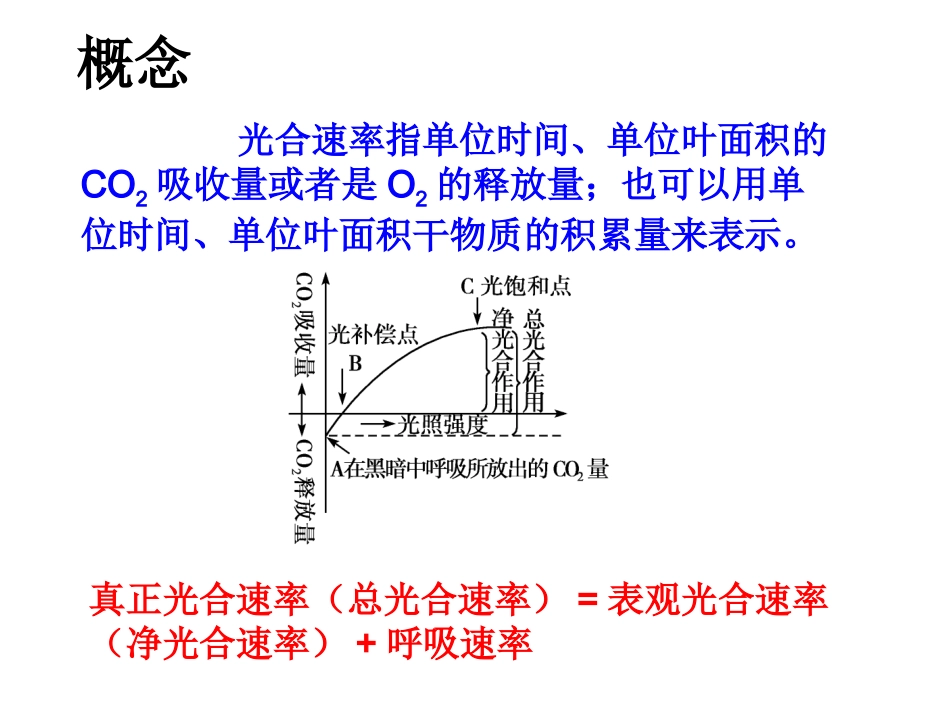 光合作用测定方法_第2页