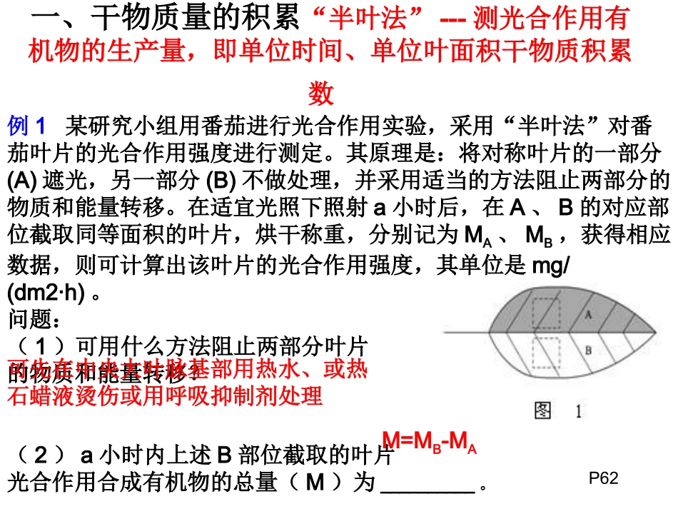 光合作用测定方法_第3页