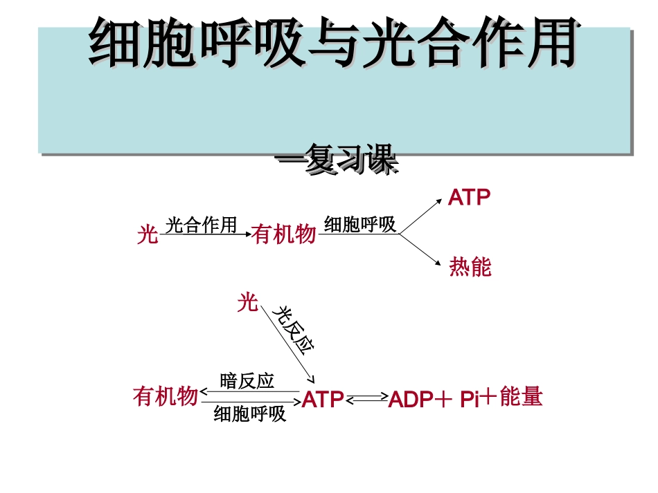 光合作用和呼吸作用复习课_第1页