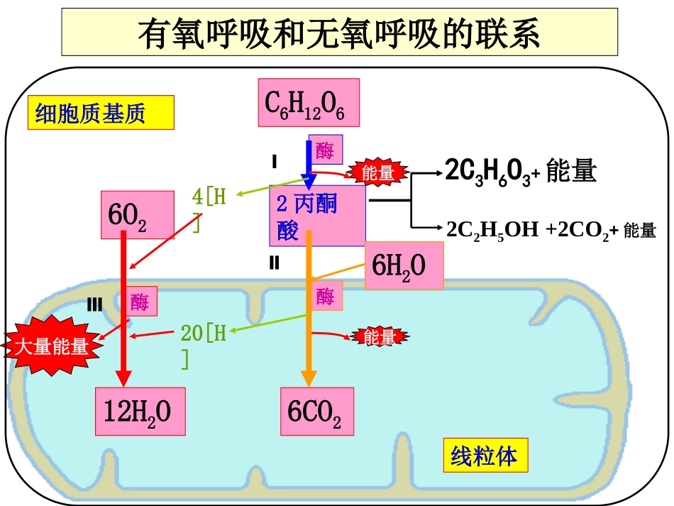 光合作用和呼吸作用复习课_第3页
