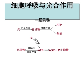 光合作用和呼吸作用复习课