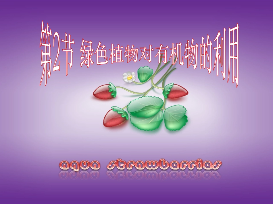 光合作用的公式_第3页