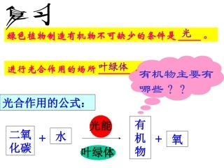 光合作用的公式
