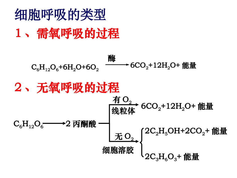 光合作用与呼吸作用中液滴移动问题小结_第2页