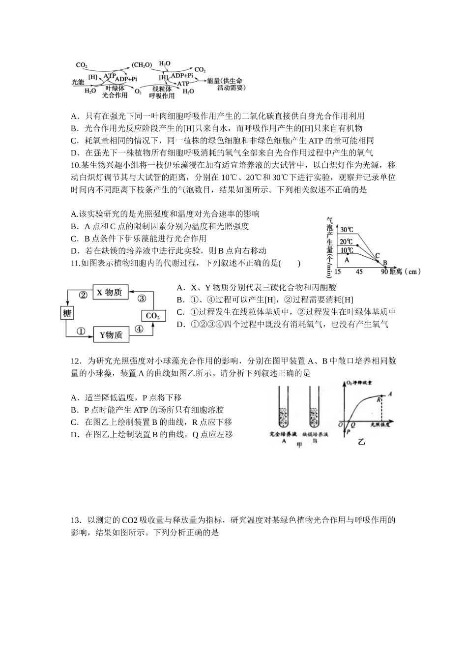 光合作用专题训练_第3页